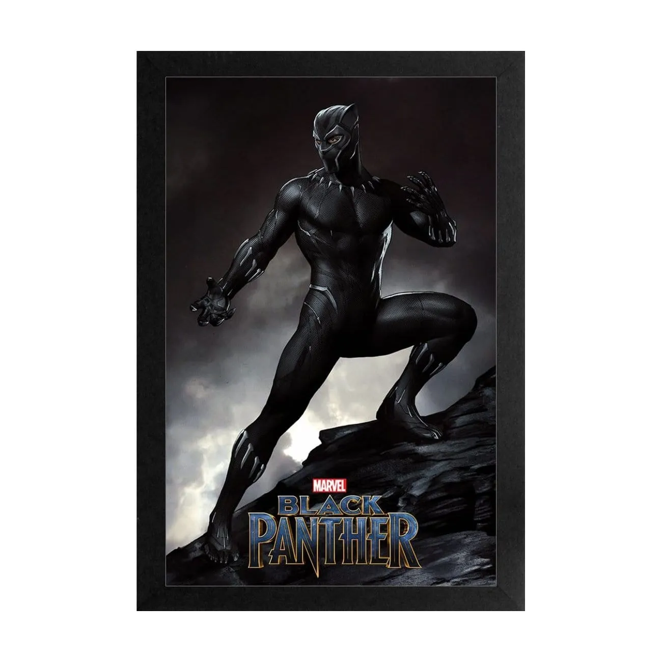 Black Panther: Mountaintop
