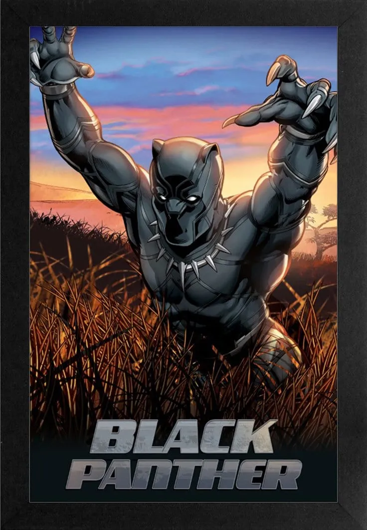 Black Panther: Wakanda Warrior