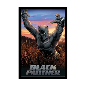 Black Panther: Wakanda Warrior
