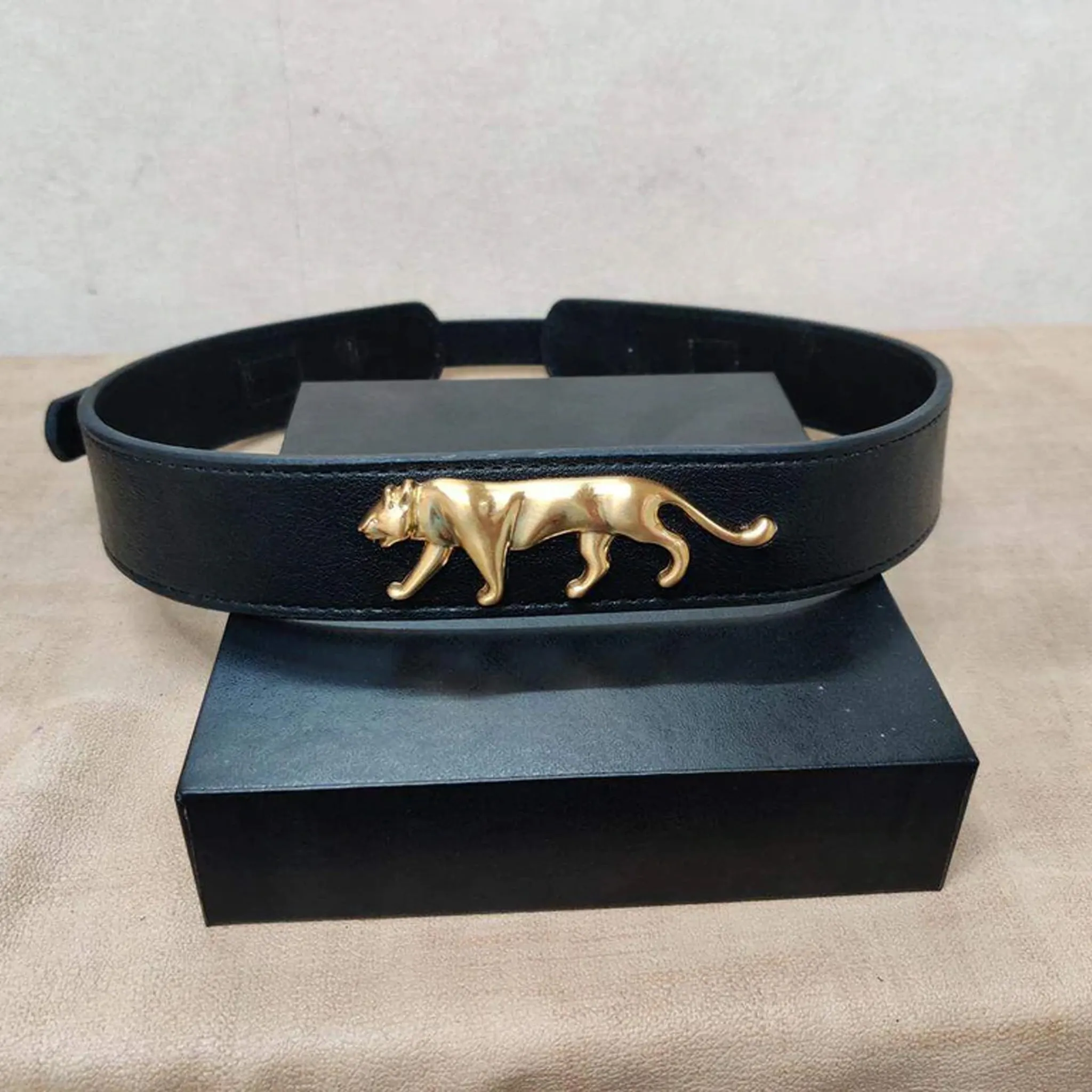 Designer Select Womens Genuine Casual Belt with Buckle