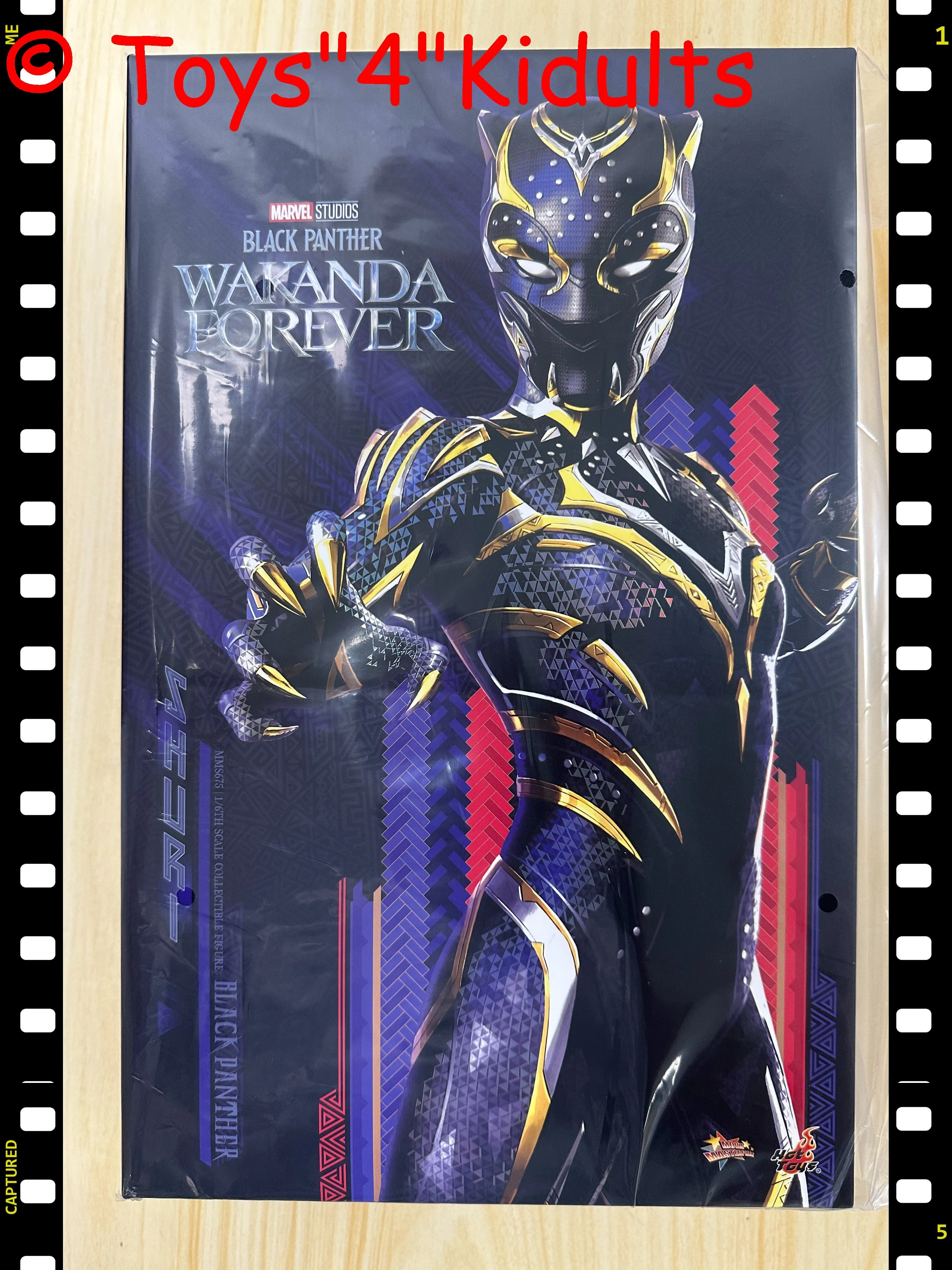 Hottoys Hot Toys 1/6 Scale MMS675 MMS 675 Black Panther: Wakanda Forever - Black Panther Action Figure NEW