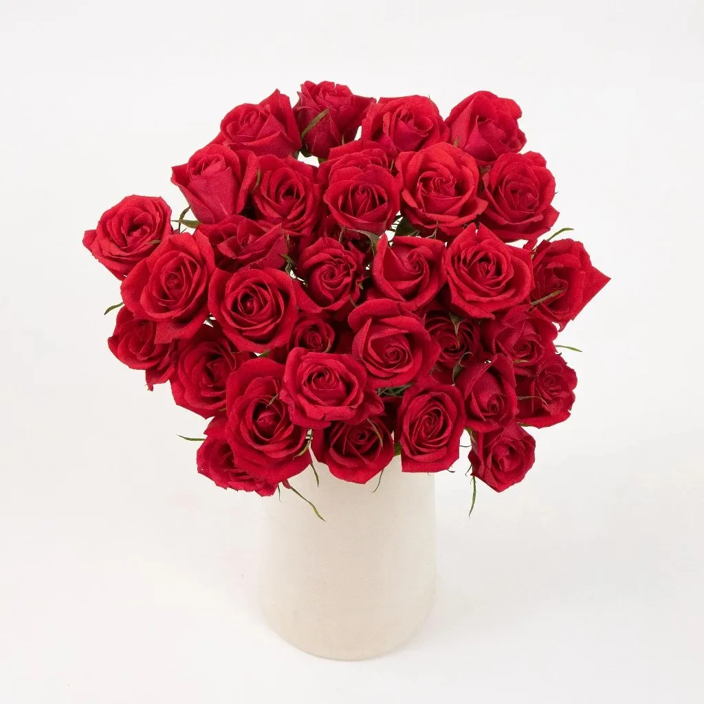 Red Spray Roses